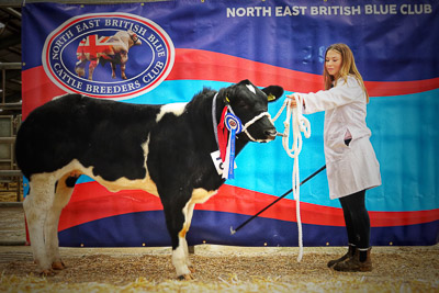 Pickering - Hough Trophy - Reserve Champion